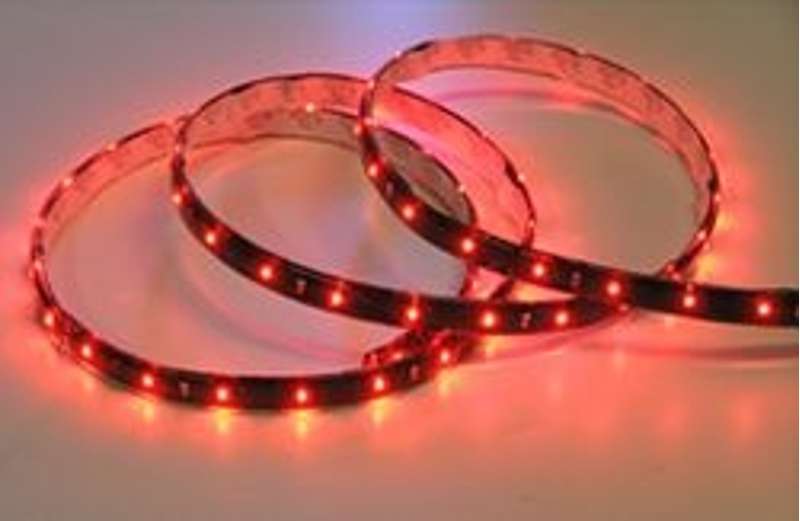 Flexistrip 30cm 24V Splashproof Red