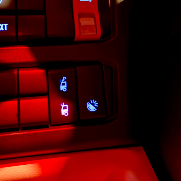Interruttore Scania "Melon Lights"