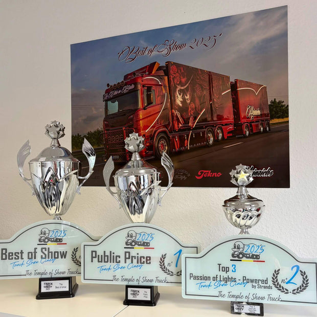 Poster "La Vida es Bella" - Best of Show 2025