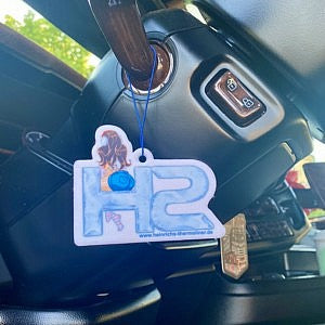 Air Freshener 
