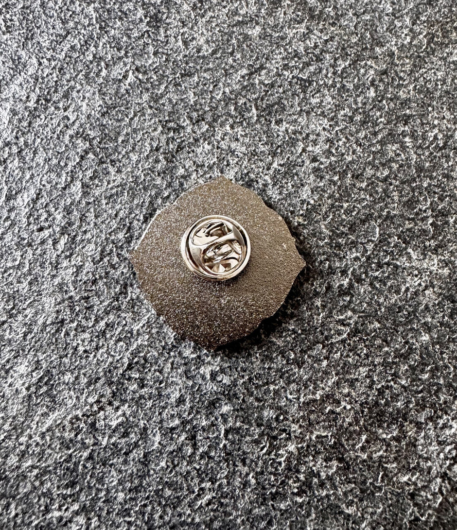 PIN 