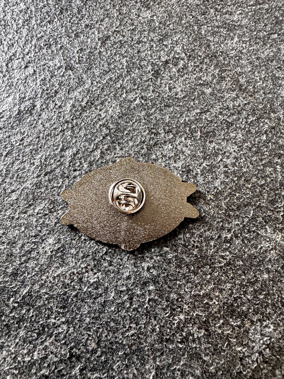 PIN 